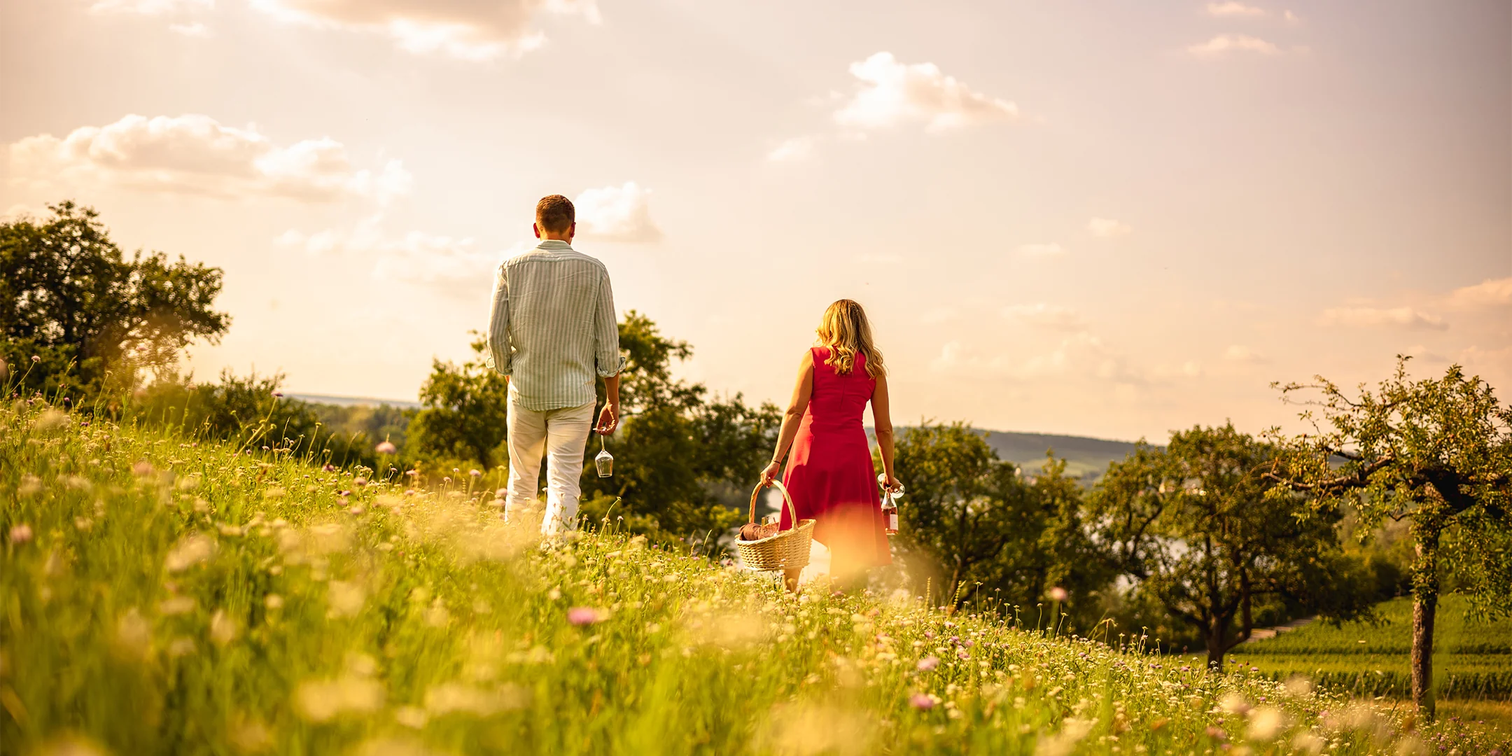 Exquisite Weine für jeden Moment